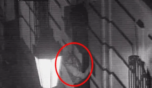Cercado de Lima: ‘Hombre araña’ fue captado trepando las paredes para robar casas [VIDEO]