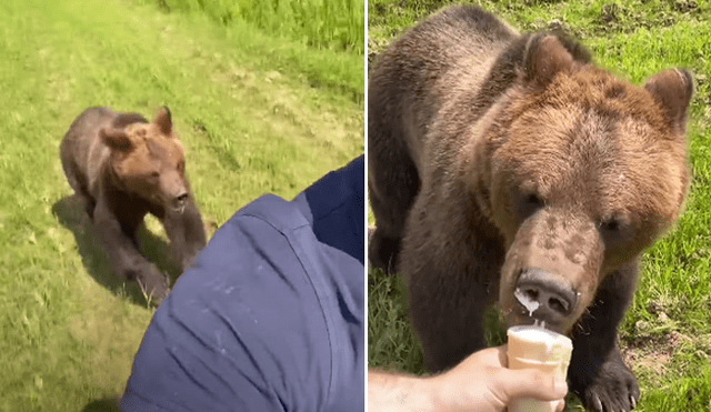 En las redes se hizo viral una escena en la que un oso persigue a un joven para arrebatarle su helado. Foto: YouTube