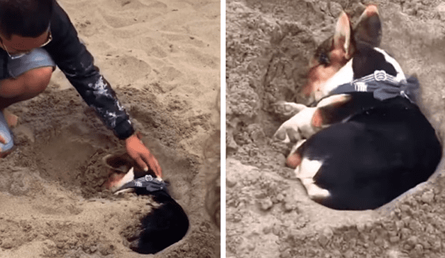 Desliza las imágenes hacia la izquierda para conocer el susto que se llevaron unos jóvenes al descubrir a un perro en la arena.