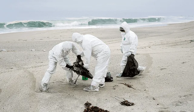 Sanidad. Senasa señala que no evalúa el cierre de las playas, sino el cuidado de estos espacios por parte de los municipios. Foto: difusión