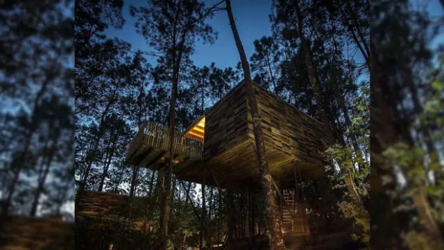 Las Cabañas del Bosque serán el plan perfecto para una noche romántica. (Foto: Bonos Bienestar)