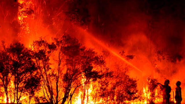 Incendios forestales en Australias acabaron con 6 millones de hectáreas. Foto: Difusión