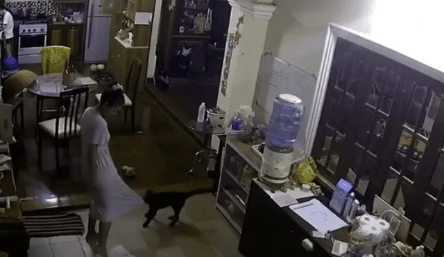 Video es viral en YouTube. Cámara de seguridad captó el gracioso comportamiento que tuvo el can con su dueña para evitar que apague las luces. Fotocaptura: YouTube
