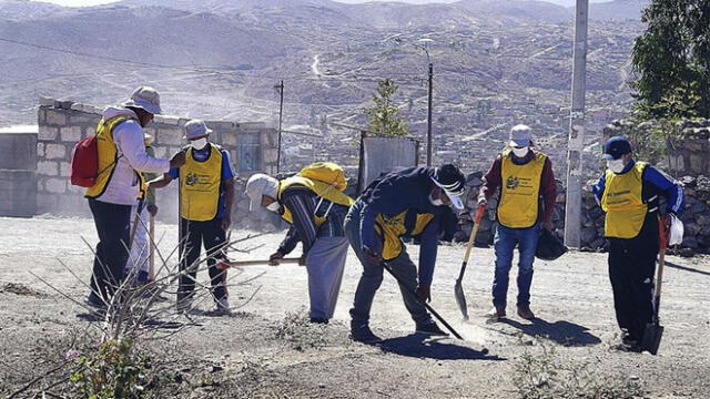 Sentenciados plantan 1000 árboles en zonas alejadas de Arequipa