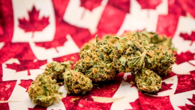 Más personas consumen marihuana en Canadá tras su legalización