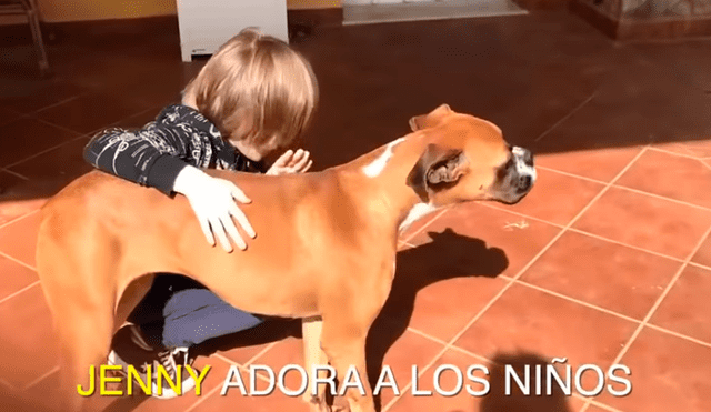 Facebook: perrita desnutrida estuvo a punto de morir hasta que un ‘ángel’ la rescató y ahora luce así [VIDEO]