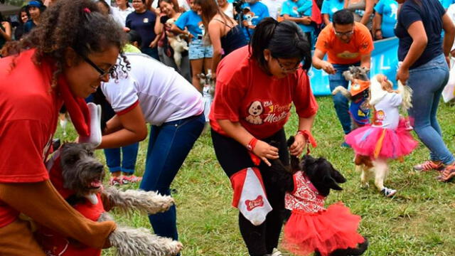 Municipalidad de Jesús María organiza tercera edición de Olimpiadas Caninas. Créditos: Difusión.