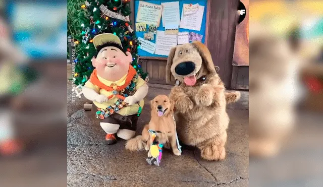 En Facebook, un perro acudió con su dueña a un parque de diversiones en Disney y tuvo una linda sorpresa.