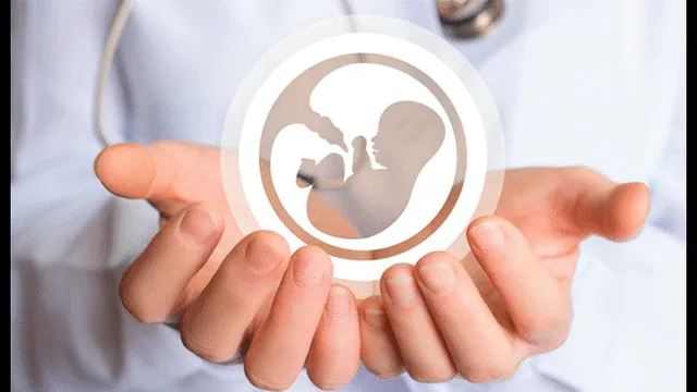 Embarazo y fertilidad: ¿Cuáles son las dudas más frecuentes en las parejas? Foto: Difusión