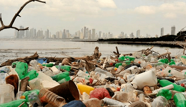ONU: En 30 años, en el mar habrá más plásticos que peces