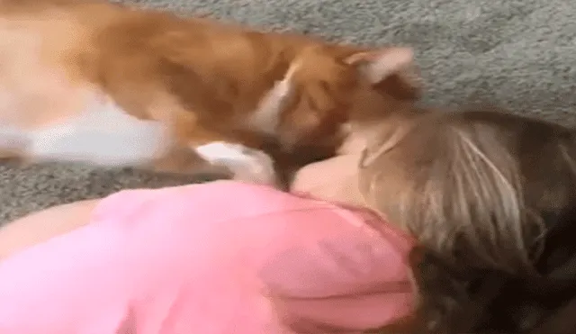 YouTube viral: gato encuentra a una niña dormida sobre el suelo y su acción desconcierta a todos [VIDEO]