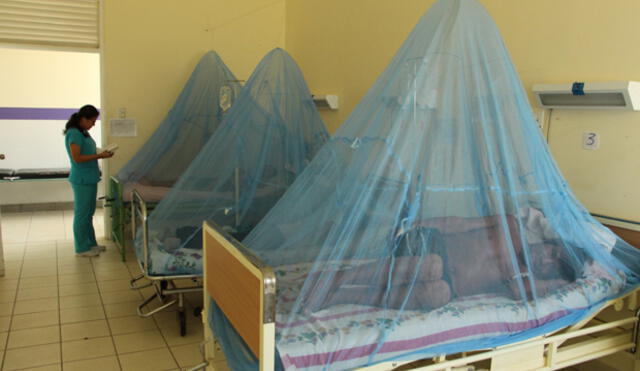  Piura: Fallecidos por dengue aumentan a 12
