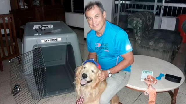 ‘Hachi’, el golden retriever que murió en un vuelo y aerolínea no permitió que familiares lo vieran [VIDEO]