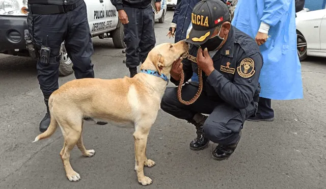 Lucky regresa con la PNP, luego de estar durante tres días en la puerta del Hospital Almenara. Foto: Deysi Portuguez /URPI-GLR