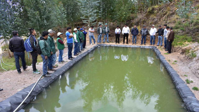 Implementarán reservorios en ande de La Libertad