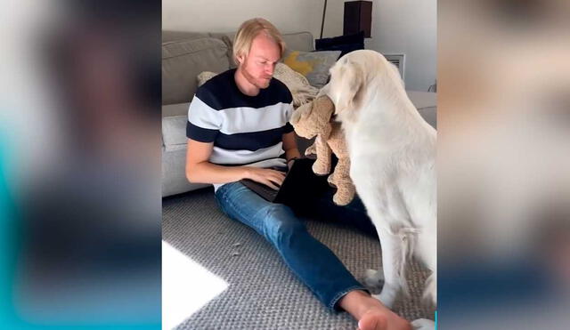 Desliza las imágenes para ver la inesperada escena que protagonizó este can y su dueño. Foto: Captura de Facebook/Woof Woof