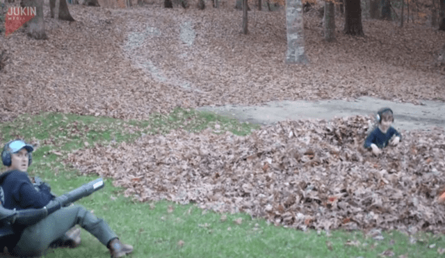 Facebook viral: jardinero descubre 'extraños bultos' enterrados entre las hojas y casi muere del susto [VIDEO] 