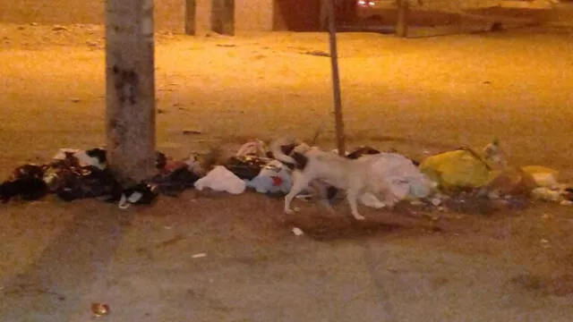 Callao: reclamos por acumulación de basura en calles de Ventanilla