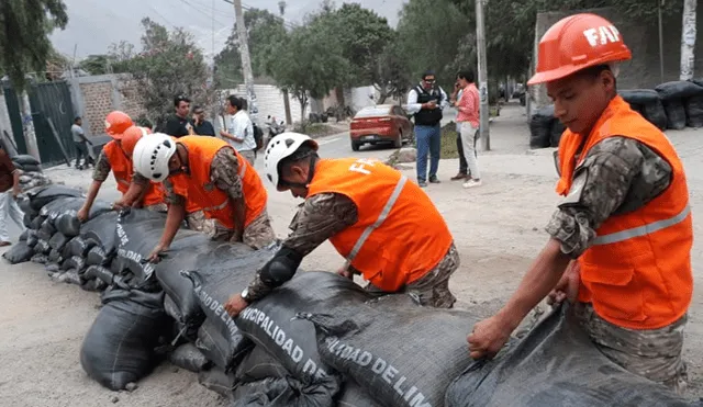 Chaclacayo: miembros de la FAP construyen defensas ribereñas