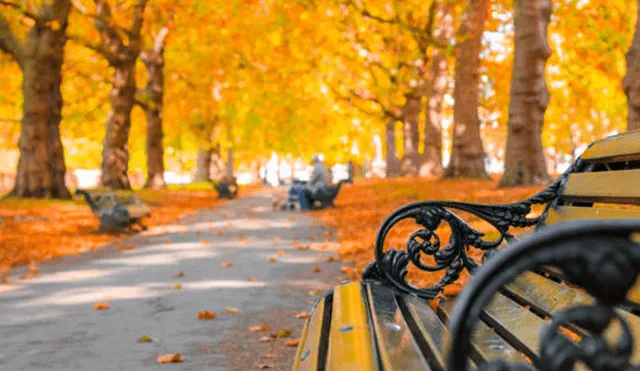 Equinoccio de otoño: ¿qué es y por qué este año comienza un día antes de lo habitual?