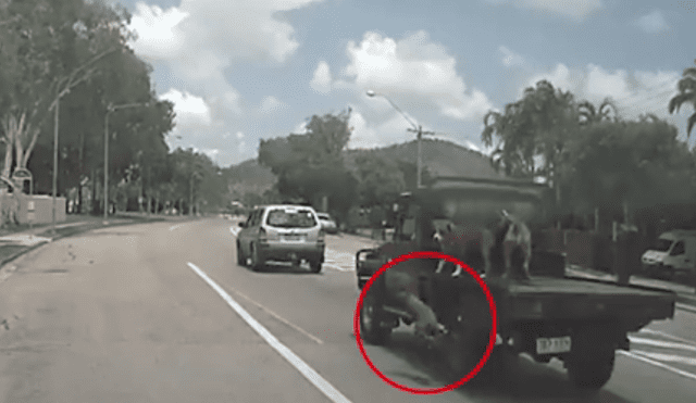 Horrible momento en que un perro es arrastrado tras caer de camioneta en movimiento [VIDEO]  