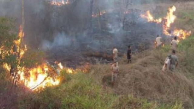 Fuego que tardó tres horas en extinguirse, no generó pérdidas humanas. (Foto tomada de Andina)