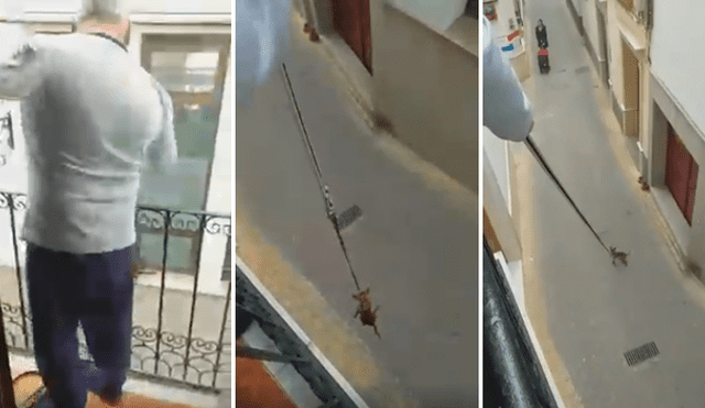 Desliza las imágenes hacia la izquierda para conocer cómo un hombre paseó a su perro desde su balcón.