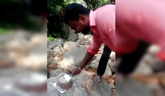 Familiares del joven lo sorprendieron con una torta de cumpleaños, sin imaginar que un travieso mono arruinaría el emotivo momento. El video es viral en Facebook