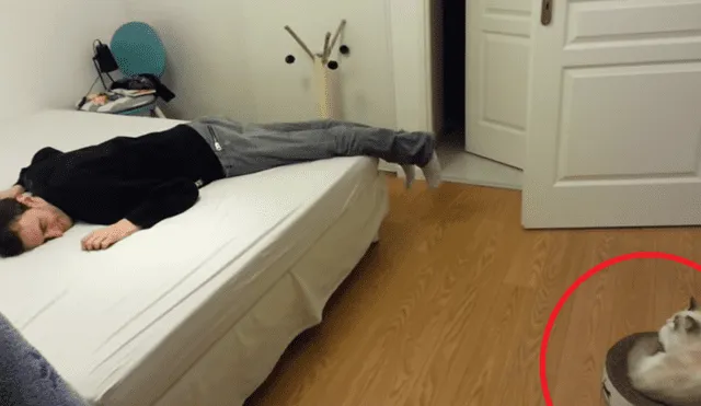 YouTube Viral: Su dueño se "murió" y este gato reaccionó de inusual forma [VIDEO]