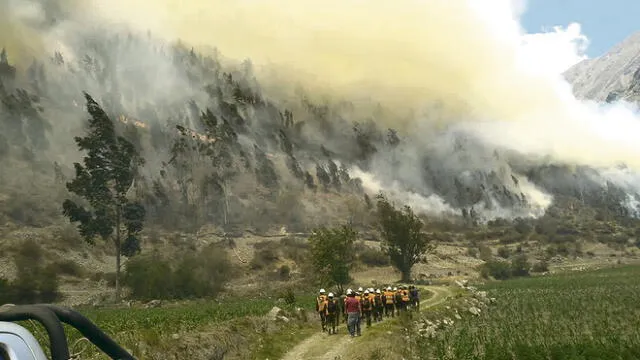 ardua labor. Bomberos, policías y pobladores lideran las acciones de combate de los incendios forestales activos.