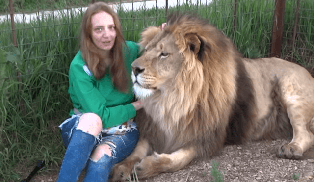 Desliza hacia la izquierda para ver la reacción que tuvo el gigantesco león tras encontrarse con la turista. El video es viral en YouTube.