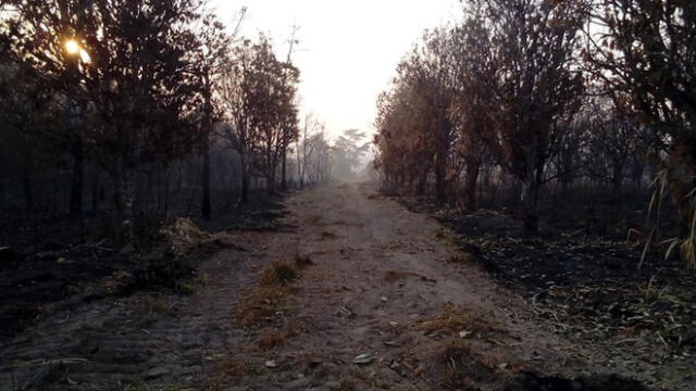 COER atendió este sábado seis incendios forestales en Iñapari, Iberia, Tampopata, Laberinto e Inambari. (Foto: Alcaldía de Iñapari)