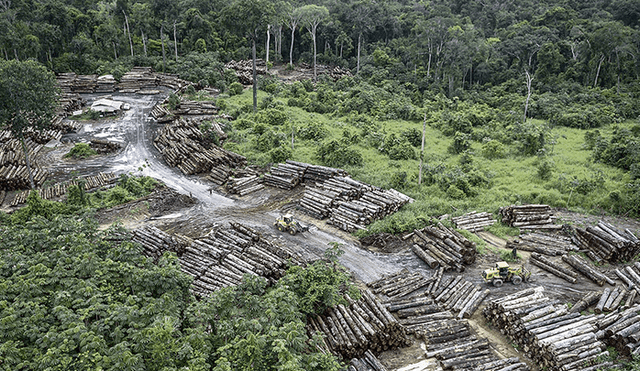 Depredación. Jair Bolsonaro, mandatario de Brasil, minimiza informes de la deforestación de la Amazonía, por lo que ha perdido el apoyo europeo.