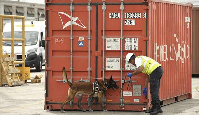Perros ayudan a decomisar más de 6 toneladas de drogas