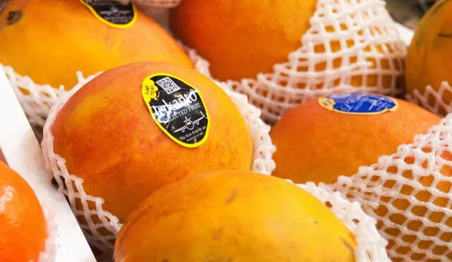 En Corea del Sur el mango es un fruto de lujo y se paga US$ 9,6 por seis unidades