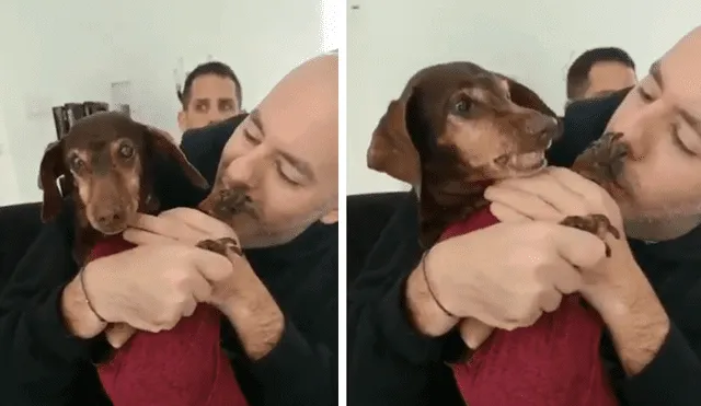 Facebook viral: le piden a un pequeño perro mostrar su sonrisa y su reacción enternece a usuarios [VIDEO]  