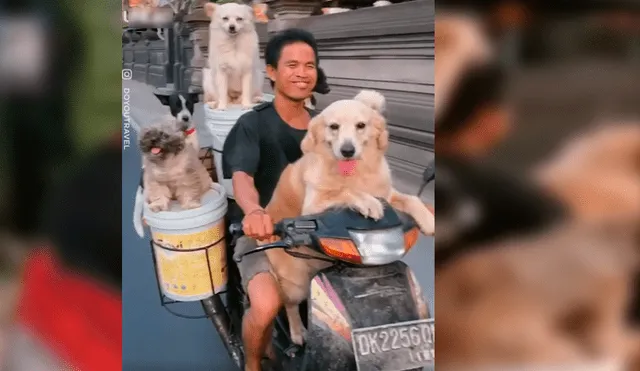 El hombre quería viajar con todos sus perros y no tuvo mejor idea que modificar su motocicleta con una singular idea que ha causado sensación en Facebook