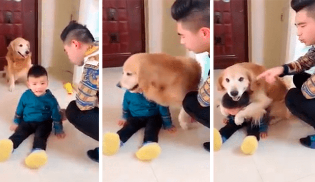 Facebook viral: perro ve que su dueño quiso "castigar severamente" a su hijo y sale a defenderlo [VIDEO]