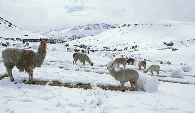 Senamhi pronostica lluvias y nevadas en Arequipa 