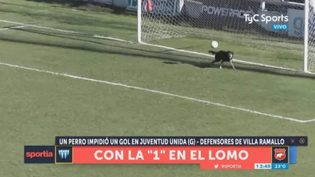 Youtube: perrito causa sensación en Argentina tras evitar gol en un partido de fútbol [VIDEO]