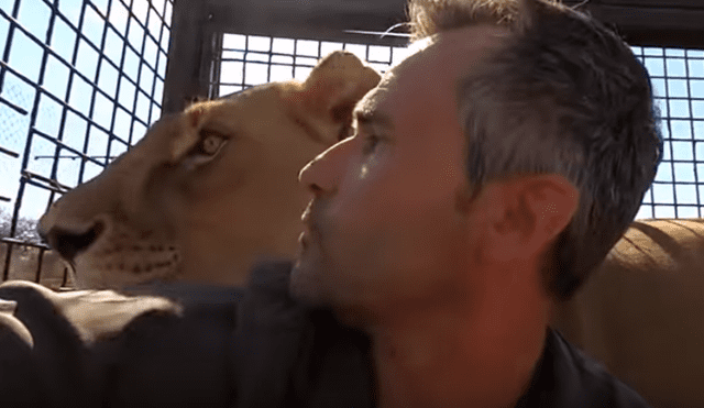 Desliza hacia la izquierda para ver el encuentro de un hombre con dos leones dentro de una jaula, escena que es viral en YouTube.