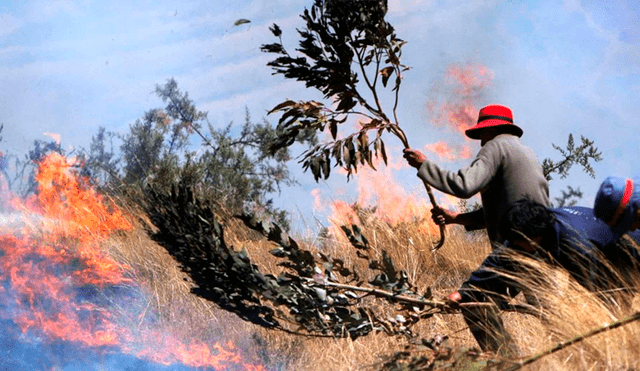 Incendio forestal viene afectado cultivos en Cajamarca. Foto: Andina/Referencial