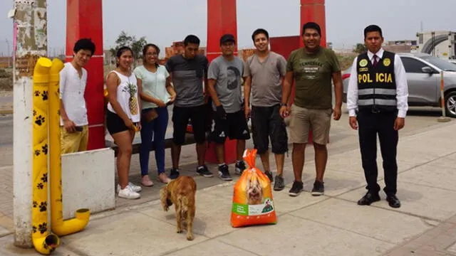 Carabayllo: colocan dispensadores de comida para perros que viven en la calle [FOTOS]