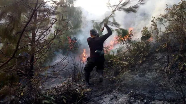 Cajamarca: incendio forestal en reserva del Ilucán 