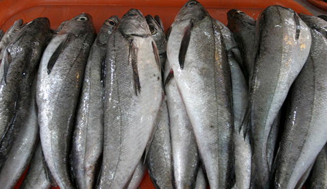 Variedad de platos a base de pescado
