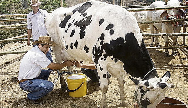 Ganaderos lecheros