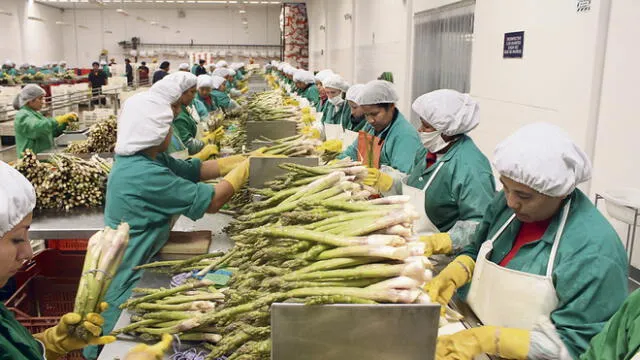 Adex: agroexportaciones peruanas crecieron 5,04% entre enero y agosto