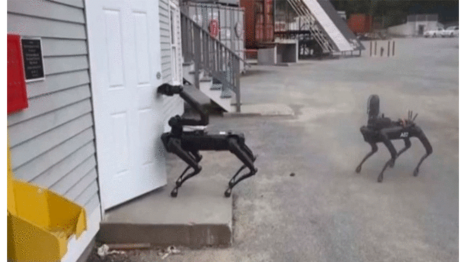 En Estados Unidos comenzaron a usar perros robots durante operativos policiales [VIDEO]