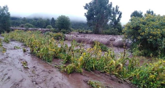Cusco: Huaico arrasa terrenos de cultivo en Anta [FOTOS]