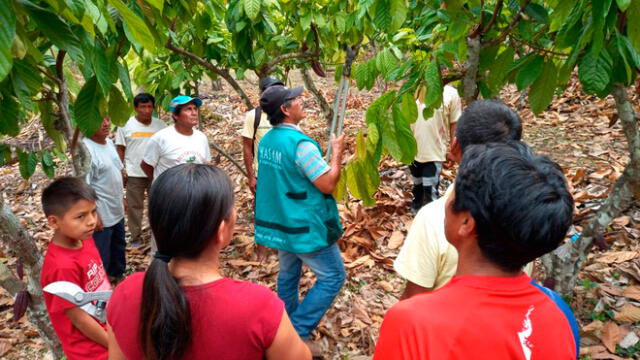 Capacitan a productores de cacao de San Martín